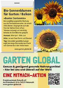 Garten Global samenfestes Saatgut Sonnenblumen